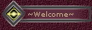 ~Welcome~
